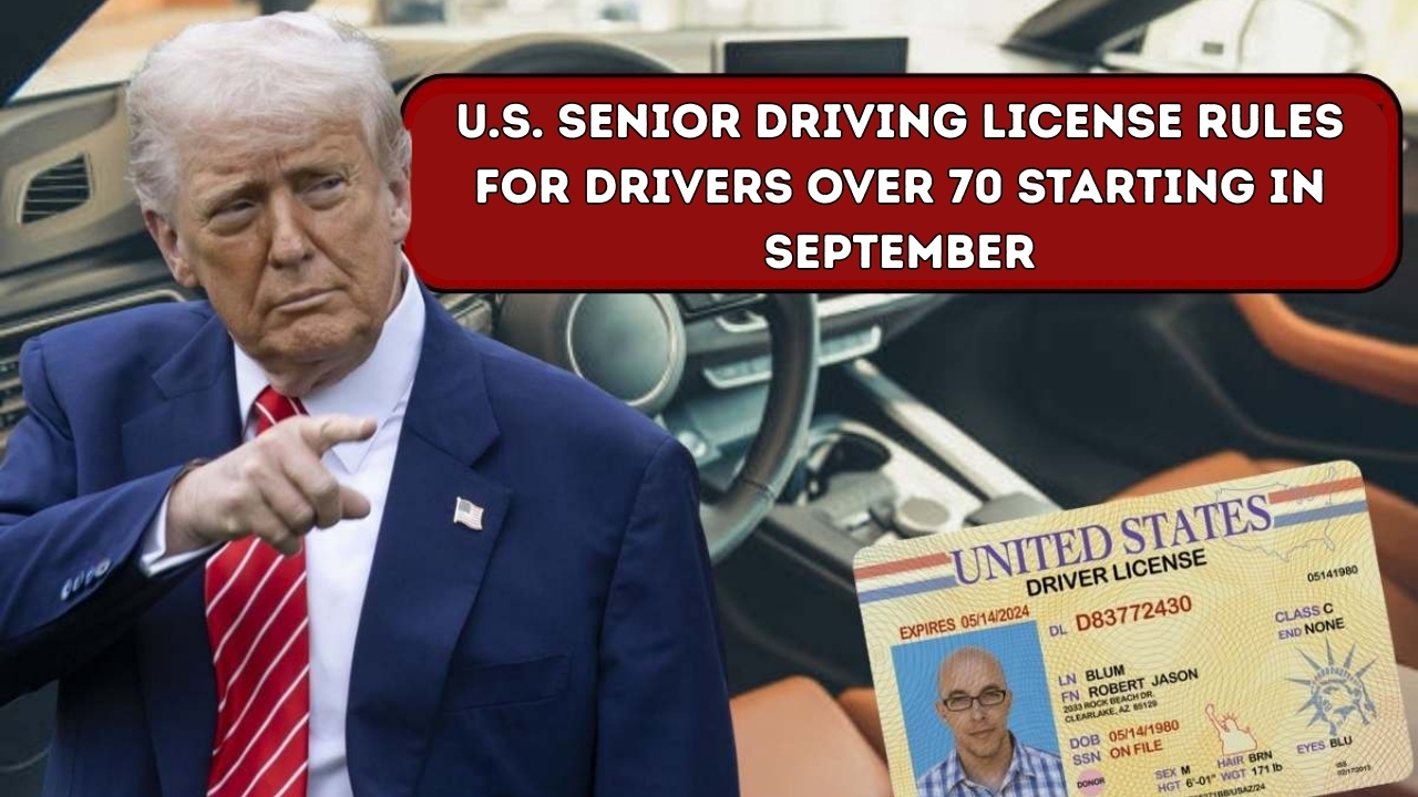 U.S. Senior Driving License Rules