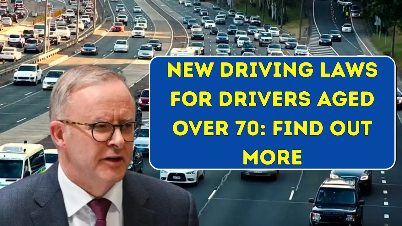 New Driving Laws